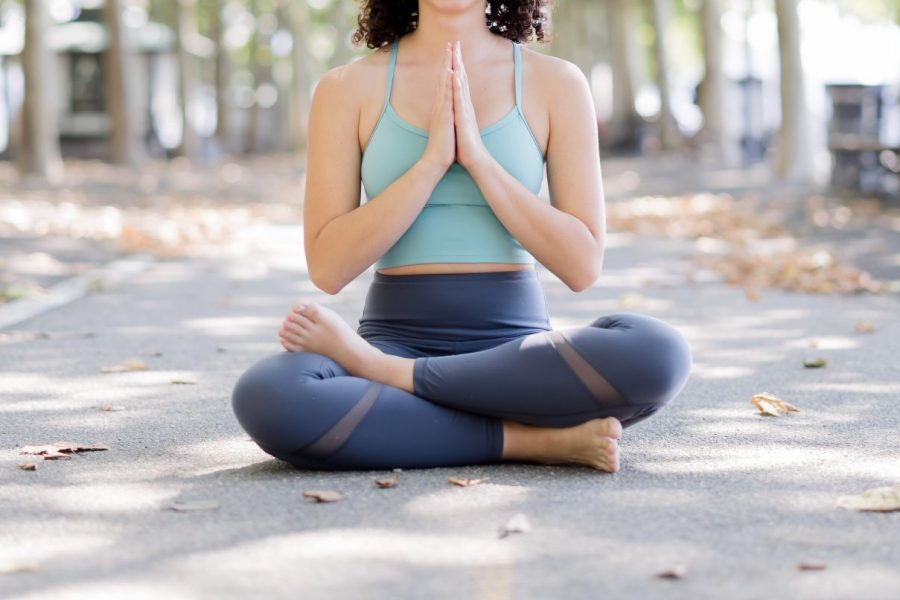 Hands in Anjali Mudra