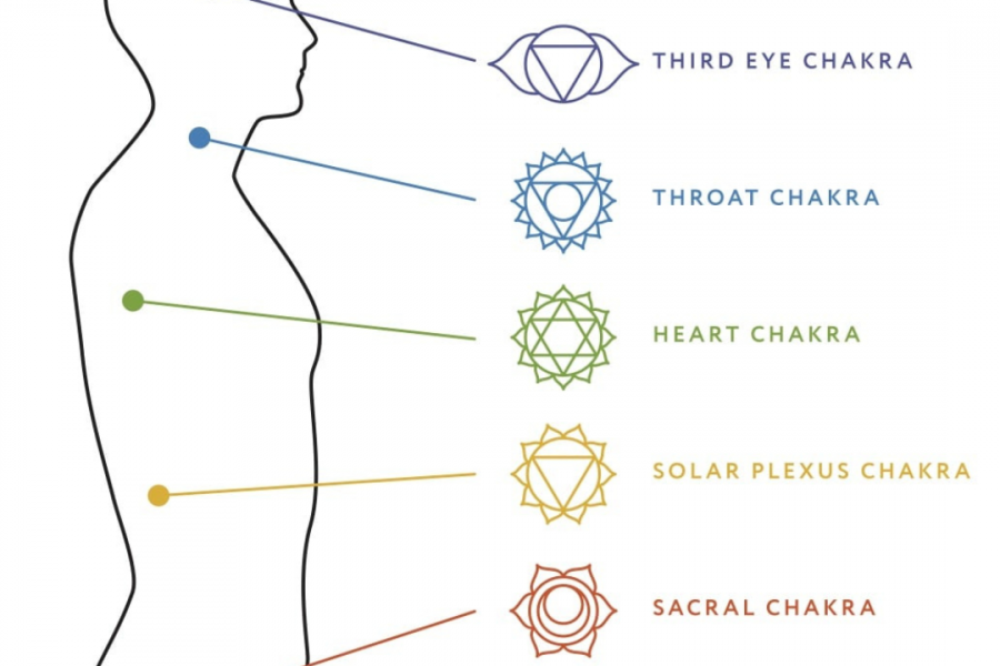 A diagram of the chakras