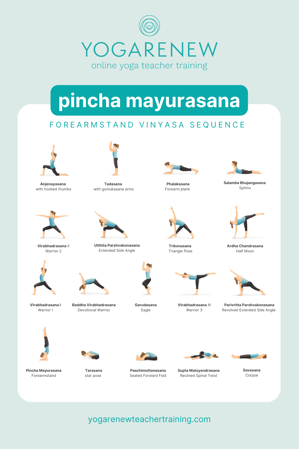 Meditation Asanas - Vinyasa Yoga Academy Blogs