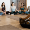 Julie Pasqual guiding a group of 200 hour yogi trainees about the differences between dharma and karma while sitting with her harmonium in front of her